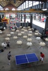 Parkloods 165